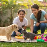 Guia completo de socialização para filhotes: cães e gatos